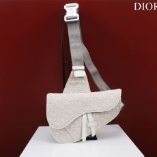 Christian Dior Saddle Bags